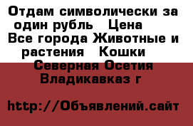 Отдам символически за один рубль › Цена ­ 1 - Все города Животные и растения » Кошки   . Северная Осетия,Владикавказ г.